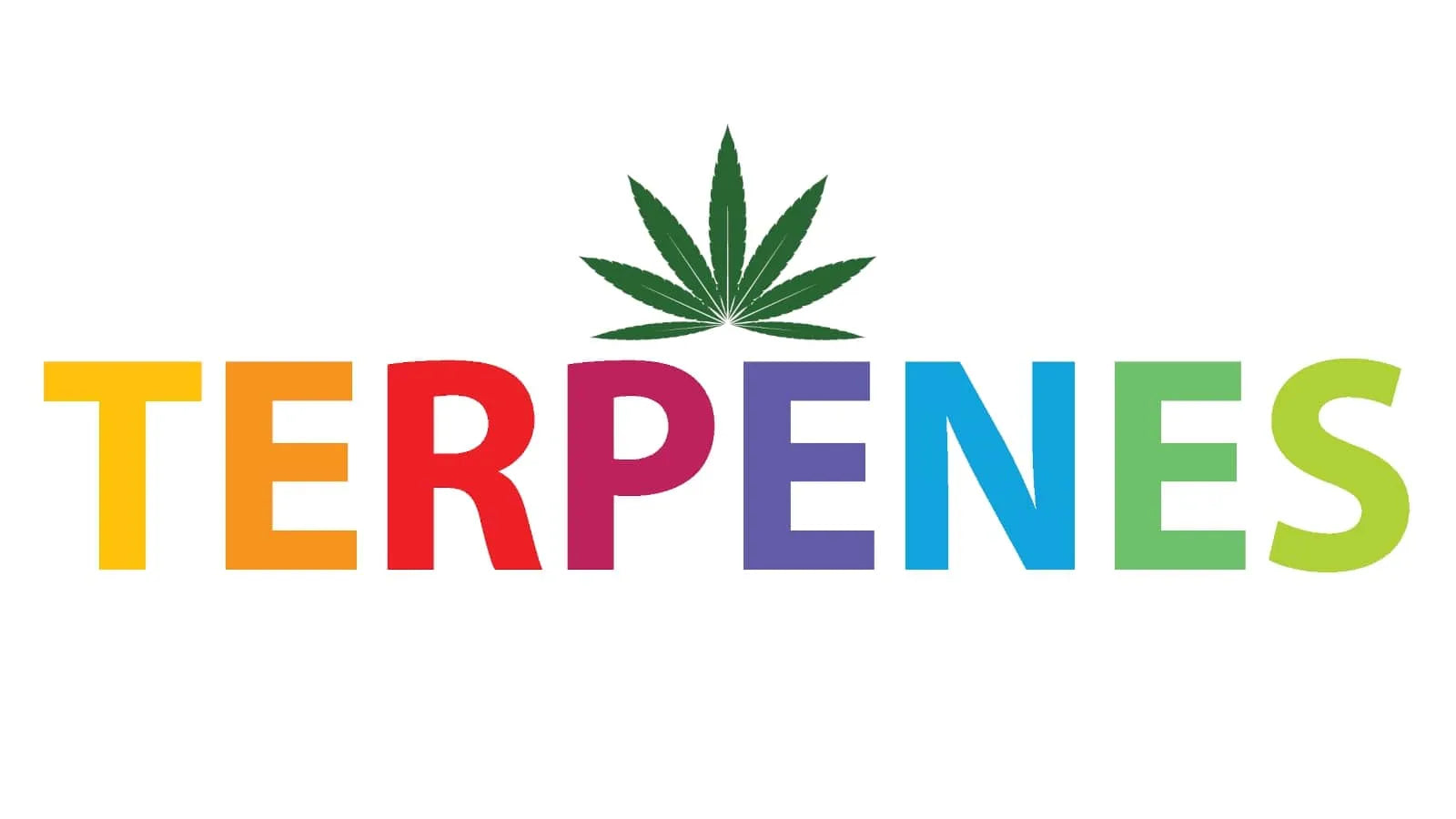 What are Terpenes and their Medicinal Uses?